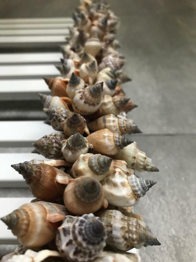 Baltic Melody Apartament 波别罗沃 外观 照片